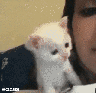 a4d877a7e013c37bc781e4e17d016e1588a22a59l2tg.gif