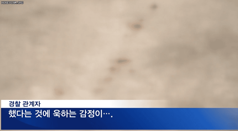 f075336db2db46594210d6c3dc9517a9a265e5bd3klj.gif