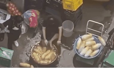 b9a25f46873c12b029a4ae249a62a9b96928b6c6t6ri.jpg