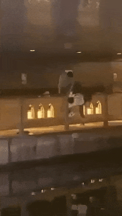 da920aa864fd3a886b974e0f6d5373862701911fn0xh.gif