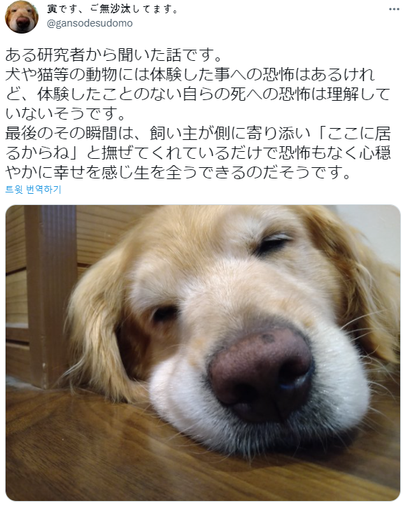 9f8b2418f57b242d139dd91bbc4346b16afbc7b3l8uk.png