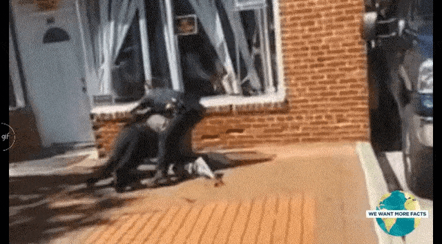 181119c6dfdf49cf6341a3f7a97347ac51a356feh6f8.gif