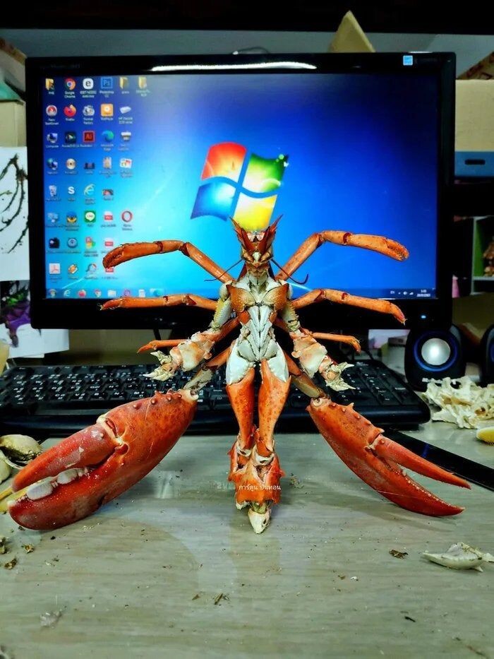 5fa7df52f0cf1480f93e24490ce66f76cea0184fpa6r.jpg