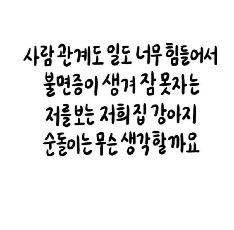 375b7eb302596bff3cd6433bf592834de54c16315938.jpg