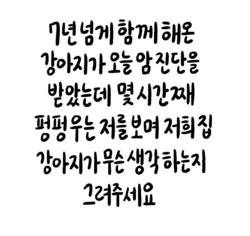 375b7eb302596bff3cd6433bf592834de54c1631ajmo.jpg