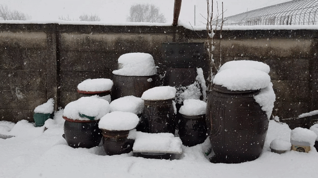 15d83189772d840ef225800086dd838b2807d20ewijk.gif