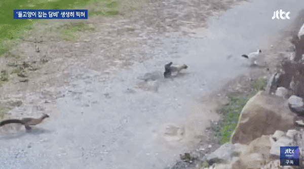 25c5d4799330b1e0677efbbf8dc90c8f38851844omix.gif
