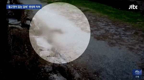 6f475e7433056e0ac5a9ad3403d1b7f4482372f6v60h.gif