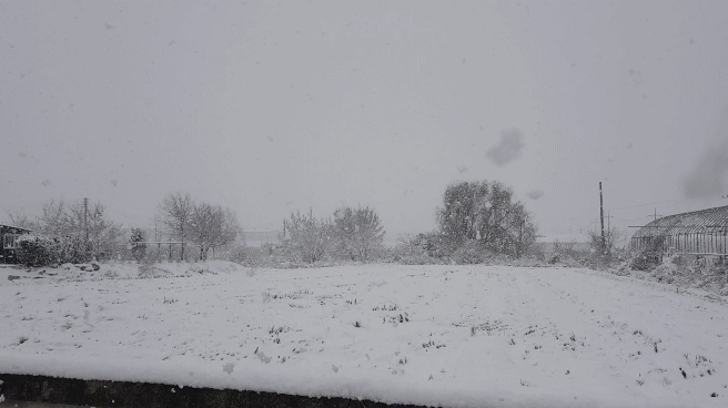 d8390cdf41d531b1dd89b2121c4f19b20f88ac9d6i5f.gif