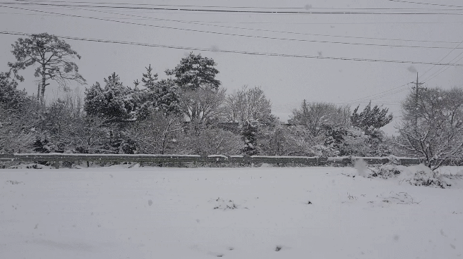 d8390cdf41d531b1dd89b2121c4f19b20f88ac9dmxav.gif