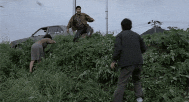 b96f631fd76ccef5c43ba6e917cb64b380ec15cbba4f.gif